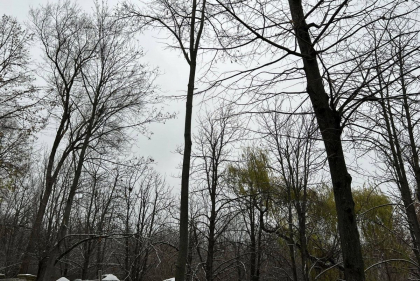 Temperaturi de minus 3 grade la nordul tarii. Cum va fi vremea astazi, dar si in urmatoarele zile. Prognoza meteo