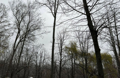 Cer noros si maxime de 10 grade Celsius in sudul tarii. Cum va fi vremea in urmatoarele zile. Prognoza meteo