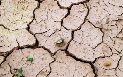Cel mai calduros an din istorie, cu un record de CO2. Seceta extrema, pe cale sa devina „o urgenta fara precedent la scara planetara” Cel mai calduros an din istorie, cu un record de CO2. Seceta extrema, pe cale sa devina „o urgenta fara precedent la scara planetara”