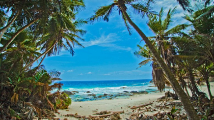 Locul unde Craciunul este in fiecare zi. Cum e viata pe insula-paradis cu doar 1.700 de locuitori: „Jungla este locul nostru de joaca” - GALERIE FOTO Locul unde Craciunul este in fiecare zi. Cum e viata pe insula-paradis cu doar 1.700 de locuitori: „Jungla este locul nostru de joaca” - GALERIE FOTO