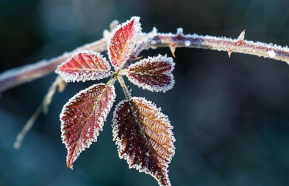 Vremea se raceste usor: in nord termometrele vor indica 5 grade Celsius. Ce temperaturi se vor inregistra in urmatoarele zile. Prognoza meteo