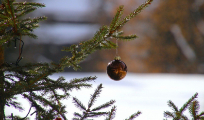 Vreme frumoasa si maxime de 11 grade Celsius. Cum va fi vremea in ajun de Revelion, dar si in urmatoarele zile. Prognoza meteo