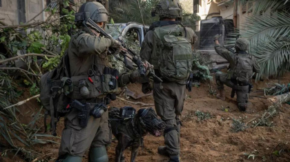 Cainii care ii ingenuncheaza pe militantii Hamas: Armata israeliana difuzeaza imagini cu unitatea sa canina implicata in luptele din Fasia Gaza - VIDEO