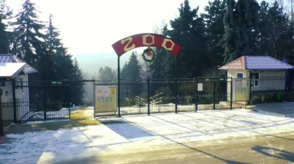 Gradina Zoologica din capitala, inchisa pana pe 11 ianuarie Gradina Zoologica din capitala, inchisa pana pe 11 ianuarie