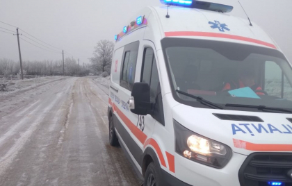 La un pas de tragedie. Un copac a cazut peste trei copii care se jucau in curtea unui bloc de locuit din capitala