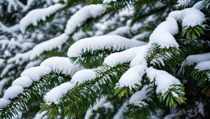 Cer variabil si maxime de -3 grade Celsius in nordul tarii. Cum va fi vremea in urmatoarele zile. Prognoza meteo 