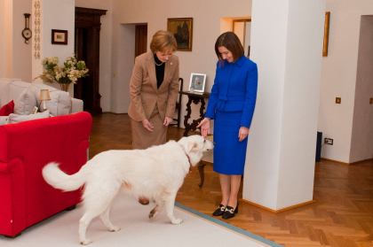 Maia Sandu, intalnire cu Majestatea Sa Margareta, Custodele Coroanei romane: au plantat un stejar ca semn al prieteniei stranse - FOTO Maia Sandu, intalnire cu Majestatea Sa Margareta, Custodele Coroanei romane: au plantat un stejar ca semn al prieteniei stranse - FOTO
