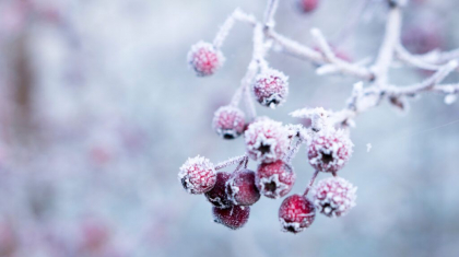 Cer noros si maxime de -5 grade Celsius in nordul tarii. Cum va fi vremea in urmatoarele zile. Prognoza meteo