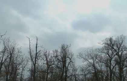 Vremea va fi calda, dar cu cer partial noros. Cate grade se vor inregistra astazi, dar si in urmatoarele zile. Prognoza meteo