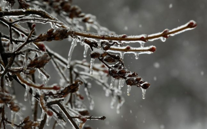 Lapovita in nordul tarii. Cate grade se vor inregistra astazi, dar si in urmatoarele zile. Prognoza meteo