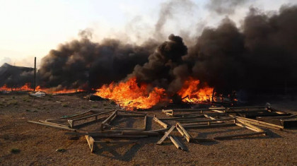 Incendiile de padure fac ravagii in Chile. Cel putin 51 de persoane au murit Incendiile de padure fac ravagii in Chile. Cel putin 51 de persoane au murit