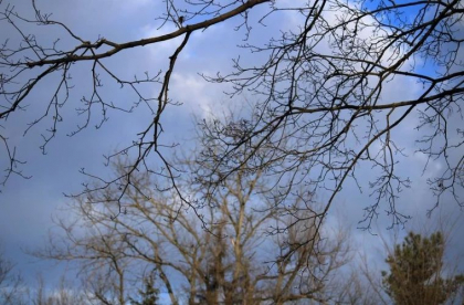 Vreme calda, cu maxime de pana la 16 grade. Cum va fi vremea in urmatoarele zile. Prognoza meteo