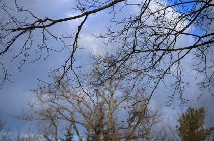 Vreme neobisnuit de calda cu maxime de 18 grade Celsius in sudul tarii. Ce temperaturi se vor inregistra in urmatoarele zile. Prognoza meteo