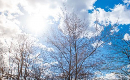 Se incalzeste usor. Cate grade se vor inregistra astazi, dar si in urmatoarele zile. Prognoza meteo