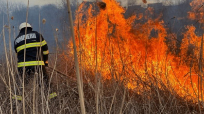  Incendiu de vegetatie in Gagauzia. Ce spun pompierii - GALERIE FOTO