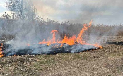 Amenzi pentru arderea frunzelor si deseurilor menajere. Ce risca persoanele care nu se vor conforma legii - FOTO
Amenzi pentru arderea frunzelor si deseurilor menajere. Ce risca persoanele care nu se vor conforma legii - FOTO