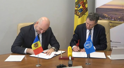 Reprezentantul de tara al FAO si ministrul Agriculturii au semnat initierea proiectului de asistenta tehnica al ONU pentru Alimentatie si Agricultura in sprijinul sectorului strugurilor de masa din Moldova - VIDEO Reprezentantul de tara al FAO si ministrul Agriculturii au semnat initierea proiectului de asistenta tehnica al ONU pentru Alimentatie si Agricultura in sprijinul sectorului strugurilor de masa din Moldova - VIDEO