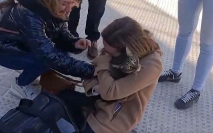 „L-am gasit din intamplare". O pisica a supravietuit opt zile sub daramaturile unui bloc devastat de incendiul din Valencia - VIDEO
„L-am gasit din intamplare". O pisica a supravietuit opt zile sub daramaturile unui bloc devastat de incendiul din Valencia - VIDEO