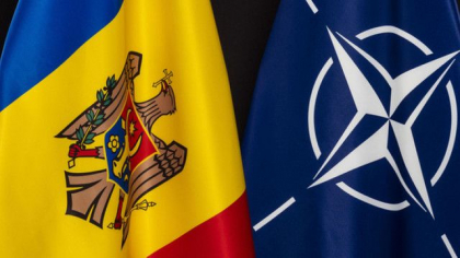 Sondaj. Cum ar vota moldovenii daca ar avea loc un referendum cu privire la aderarea Republicii Moldova la NATO - FOTO