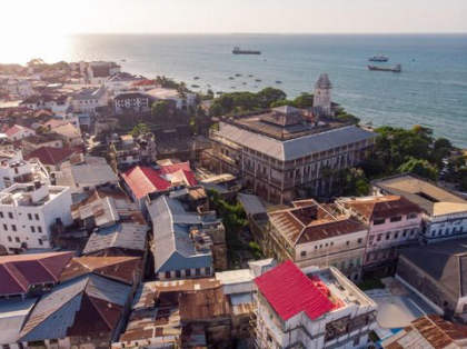 Opt copii si un adult au murit dupa ce au mancat carne de broasca testoasa, in Zanzibar