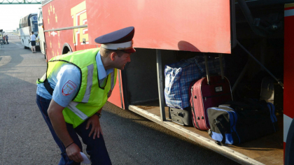 Mai multi politisti germani au auzit mieunatul unor pisici dintr-un autobuz. Cand au controlat vehiculul, au avut un soc
