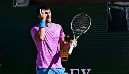 Invazie de albine la un meci de tenis de la Indian Wells 2024 - VIDEO Invazie de albine la un meci de tenis de la Indian Wells 2024 - VIDEO