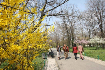Soare arzător și maxime de până la 25 de grade. Cum va fi vremea în ultimul weekend din martie
