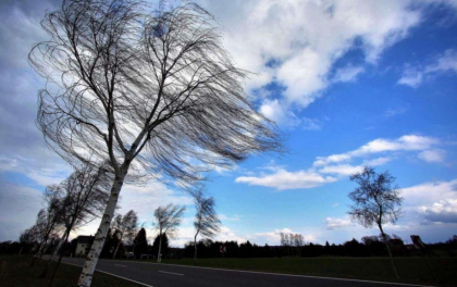 Vântul puternic face ravagii în toată țara. Au fost afectate mai multe clădiri, acoperișuri, iar mai mulți arbori au fost doborâți la pământ. Precizările IGSU Vântul puternic face ravagii în toată țara. Au fost afectate mai multe clădiri, acoperișuri, iar mai mulți arbori au fost doborâți la pământ. Precizările IGSU