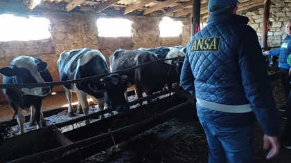 ANSA a pornit controale la mai mulți colectori de animale - FOTO ANSA a pornit controale la mai mulți colectori de animale - FOTO