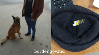 Substanțe psihotrope, găsite de câinele de serviciu de la frontieră. Unde erau ascunse 