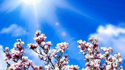 Vremea se încălzește. Câte grade se vor înregistra în toată țara. Prognoza meteo