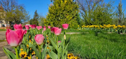 Vreme frumoasă în toată țara. Câte grade se vor inregistra astăzi, dar și în următoarele zile. Prognoza meteo
