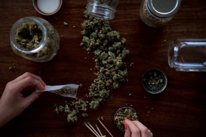 O bandă internaţională a pus la cale o fraudă cu canabis medicinal care a făcut victime în 35 de ţări. Escrocii au obţinut 686 milioane de dolari O bandă internaţională a pus la cale o fraudă cu canabis medicinal care a făcut victime în 35 de ţări. Escrocii au obţinut 686 milioane de dolari
