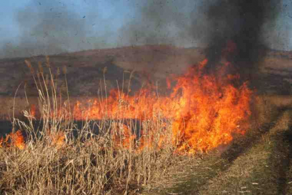 Nouă persoane, sancționate în ultimele zile după ce au dat foc vegetației uscate