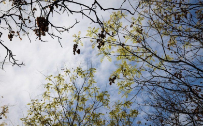 Cer noros și temperaturi maxime de până la 18 grade. Cum va fi vremea astăzi, dar și în următoarele zile. Prognoza meteo