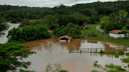 Ploile au făcut prăpăd în Brazilia. Cinci persoane au murit și alte 18 au fost date dispărute
Ploile au făcut prăpăd în Brazilia. Cinci persoane au murit și alte 18 au fost date dispărute