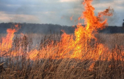 Peste 100 de hectare de vegetație uscată au fost distruse de flăcări Peste 100 de hectare de vegetație uscată au fost distruse de flăcări