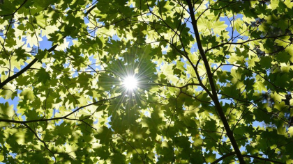 Vreme frumoasă în toată țara. Câte grade se vor inregistra astăzi, dar și în următoarele zile. Prognoza meteo
