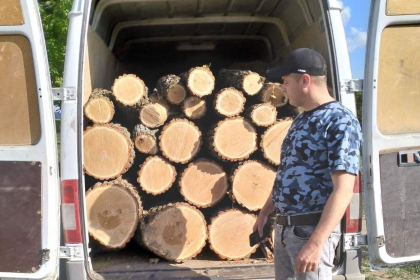 Sancțiuni pentru transport ilegal de material lemnos. Un bărbat s-a ales cu amendă - VIDEO