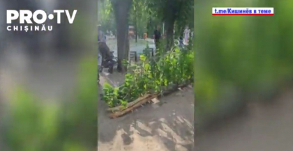 O femeie din capitală a fost la un pas de tragedie, după ce o creangă s-a rupt și a căzut peste ea