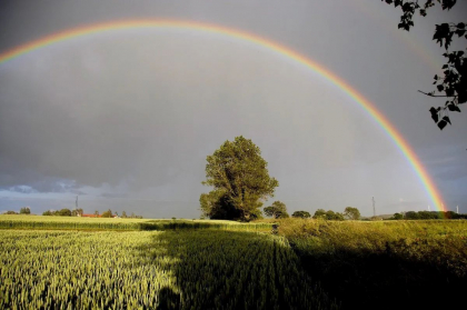 Cum va fi vremea în prima zi de vară. Câte grade se vor înregistra astăzi, dar și în următoarele zile. Prognoza meteo