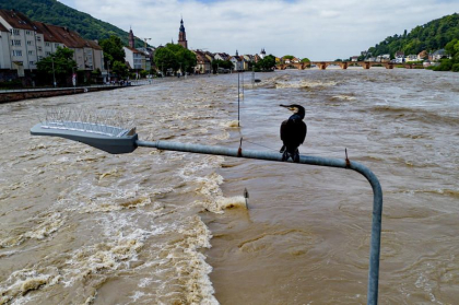„O catastrofă”. Cel puțin patru persoane au murit în Germania din cauza inundațiilor. Circulația trenurilor a fost afectată - FOTO „O catastrofă”. Cel puțin patru persoane au murit în Germania din cauza inundațiilor. Circulația trenurilor a fost afectată - FOTO
