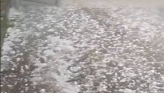 În raionul Nisporeni a plouat cu grindină cât bobul de mazăre. Imagini surprinse de locuitori - VIDEO
În raionul Nisporeni a plouat cu grindină cât bobul de mazăre. Imagini surprinse de locuitori - VIDEO