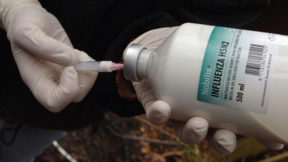 Primul om care a murit din cauza gripei aviare de tip H5N2. Precizările OMS despre acest virus Primul om care a murit din cauza gripei aviare de tip H5N2. Precizările OMS despre acest virus