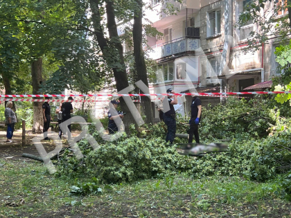 Tragic. O fată de 12 ani, găsită fără suflare după ce un copac a căzut peste ea, în capitală