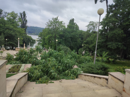 Prăpăd în parcul Valea Morilor din capitală. Copaci, doborâți la pământ - FOTO