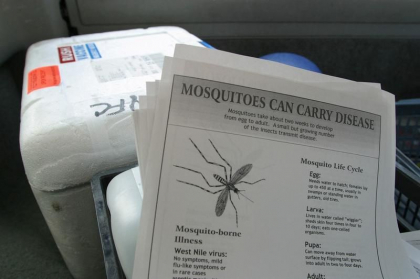 În Europa, cazurile de dengue și boli răspândite de țânțari înregistrează o „creștere semnificativă" În Europa, cazurile de dengue și boli răspândite de țânțari înregistrează o „creștere semnificativă"