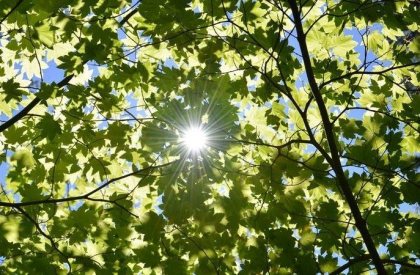 Vreme frumoasă în toată țara. Câte grade se vor înregistra astăzi, dar și în următoarele zile. Prognoza meteo