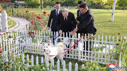 Kim Jong-un i-a dăruit lui Vladimir Putin doi câini din rasa Pungsan. Liderul rus l-a plimbat pe dictator cu o limuzină rusească Aurus - VIDEO