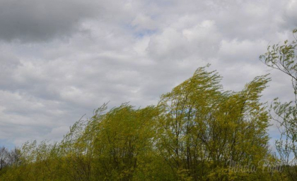 Ultima oră. Cod galben de vânt. Anunțul, făcut de meteorologi - FOTO